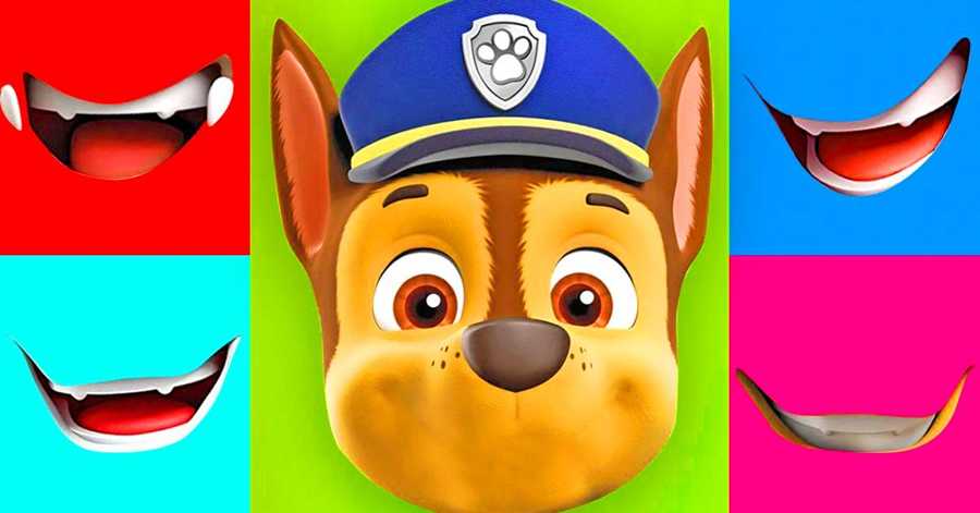 Help the dog find its mouth