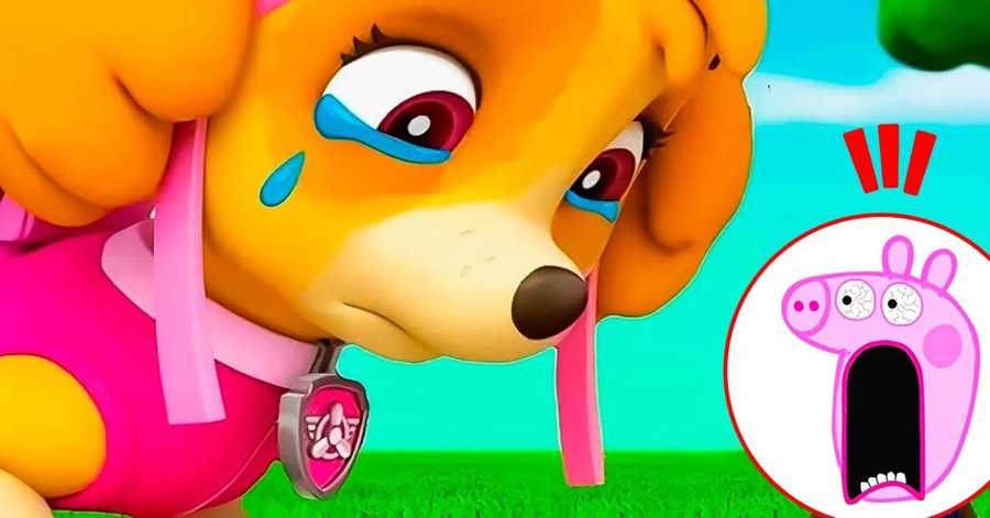 coco and dog
