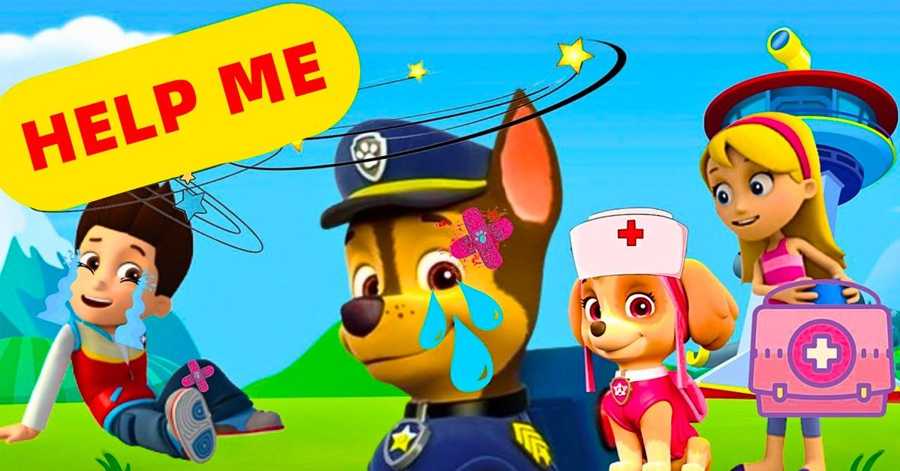 Paw Patrol to the Rescue!