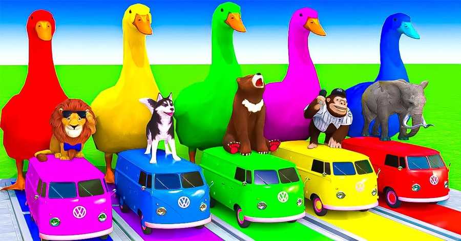 Colorful Animal